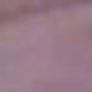 Meet your Posher, Lulu